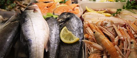 freshFish_2500x1059